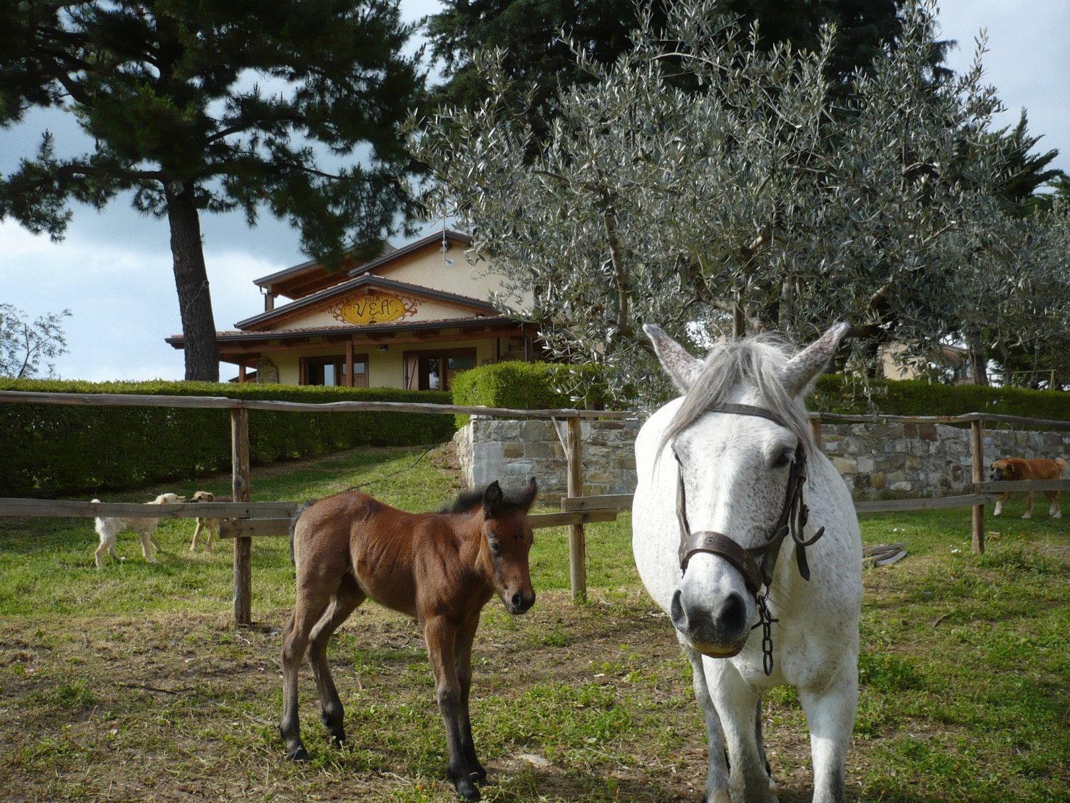 Agriturismo Villa Vea Bellosguardo Extérieur photo